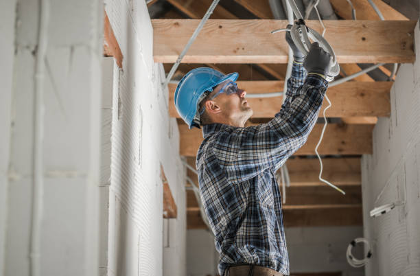 Best Electric Panel Repair  in Crandon, WI